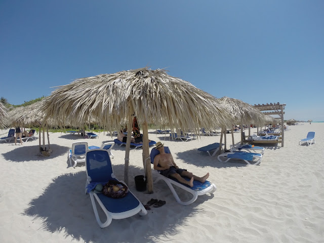 Milo Denison at the beach