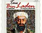 Watch Hindi Movie Tere Bin Laden Online