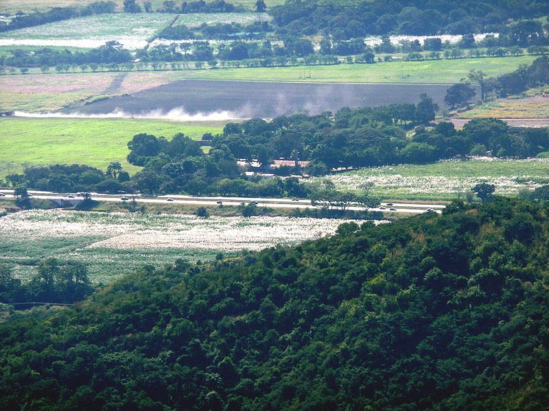 Venezuela y Variedad ESTADO ARAGUA, VENEZUELA