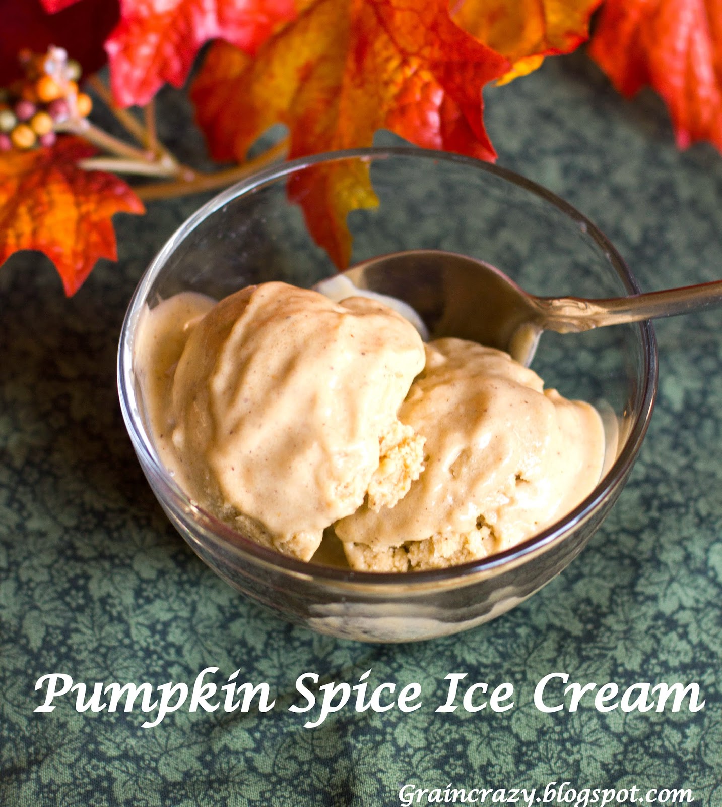 Grain Crazy Pumpkin Spice Ice Cream (Dairy Free and No Added Sugar)
