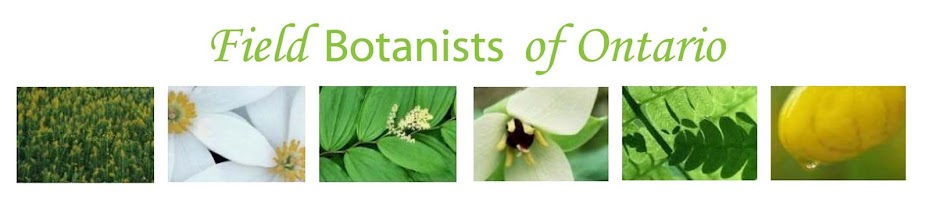 Field Botanists of Ontario