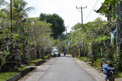 desa nyuh kuning desa nyuh kuning