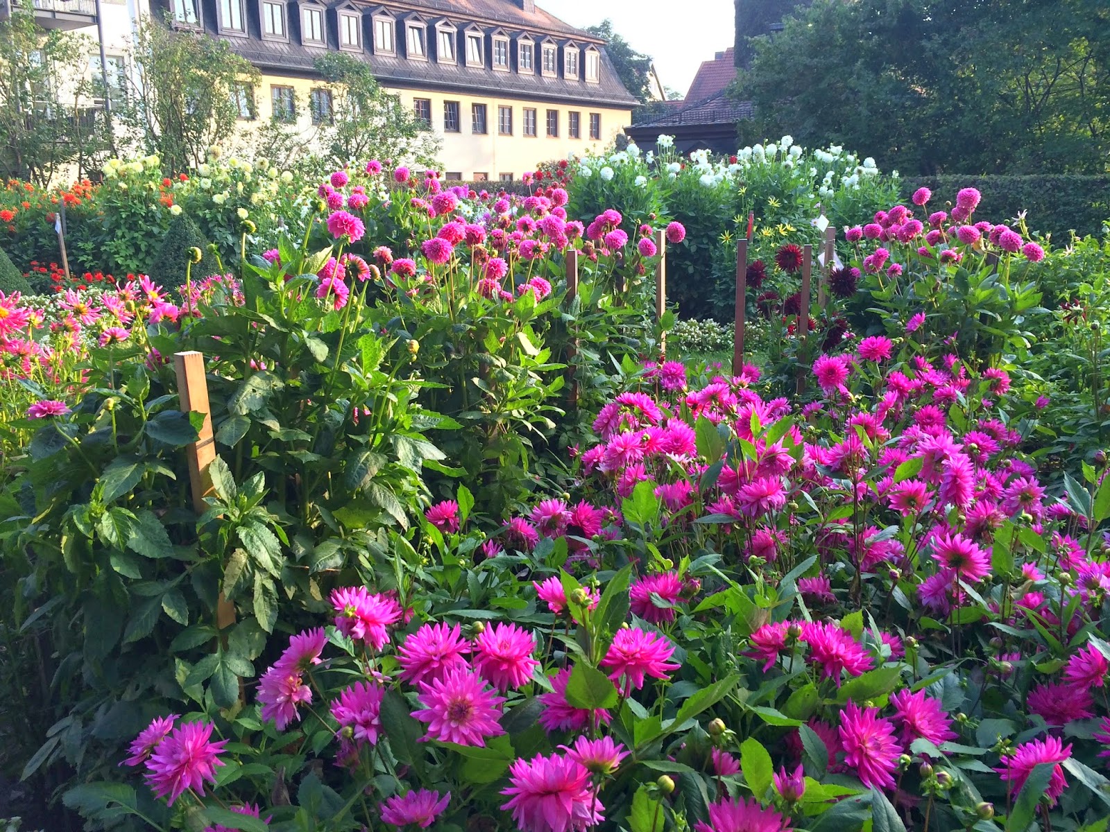 Das Rhonhaus Lilies Diary Der Alltagliche Wahnsinn