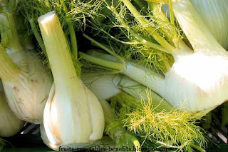 benefits of eating fennel benefits_of_eating fennel_fruits-vegetables-benefits.blogspot.com(3)