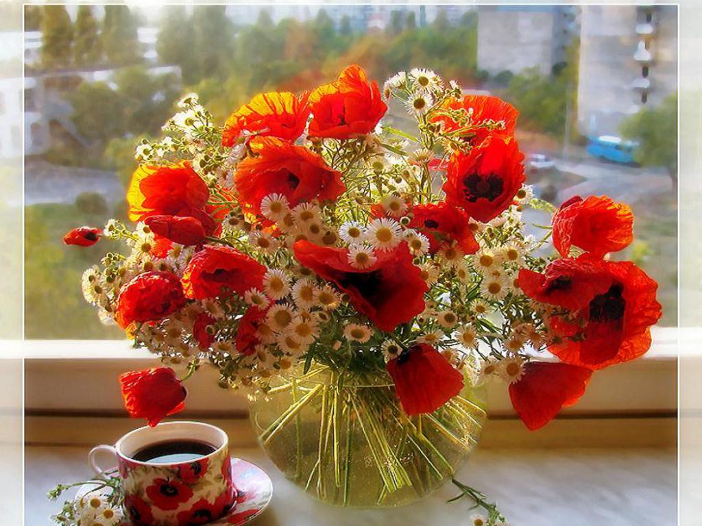 http://4.bp.blogspot.com/-GSOk4GSvGoA/T6qoaHPLx_I/AAAAAAAADPw/-jv1rn_UZ6E/s1600/good%2Bmorning%2Bwallpaper%2Bfor%2Bfacebook%2B(2).jpg