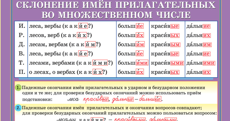 Схема падежей имени прилагательного Схема падежей имени прилагательного