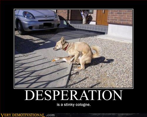Top 10 Funny Demotivational Posters Feauring Animals Top 10 Funny Demotivational Posters Feauring Animals
