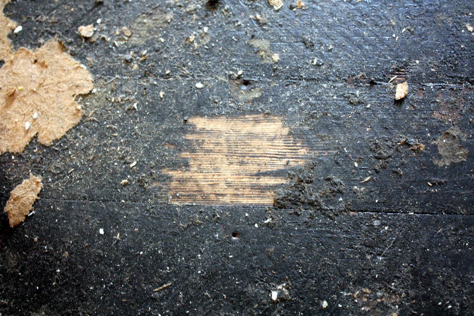 How To Remove Black Mastic From Concrete Floor Carpet Vidalondon