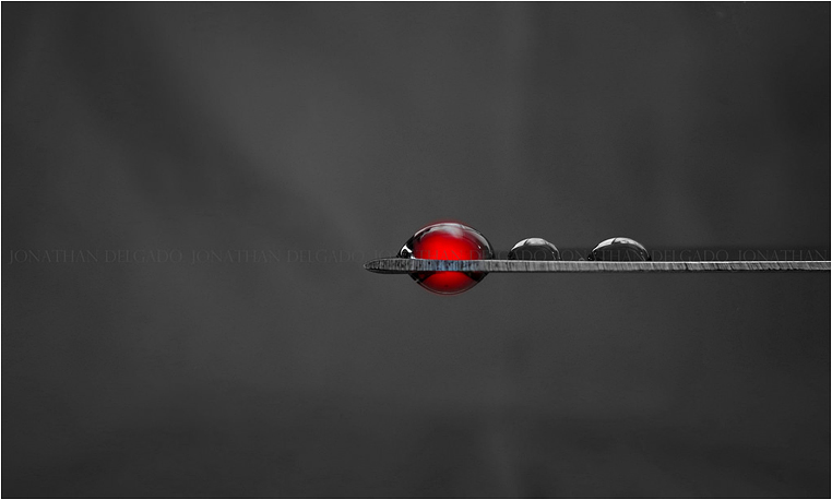 Compact Camera, Best Photo of the Day in Emphoka by Jonathan Delgado, Canon Powershot SX40HS, https://flic.kr/p/oCSNeV Compact Camera, Best Photo of the Day in Emphoka by Jonathan Delgado, Canon Powershot SX40HS, https://flic.kr/p/oCSNeV