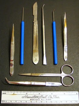 Dissecting The Success Of The Chronicles Of Renard Dissection Kit Tools