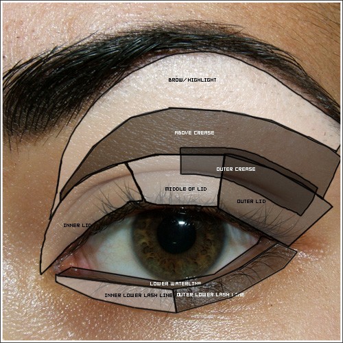 BOND Incorporated: Great Template on how to Apply Eyeshadow