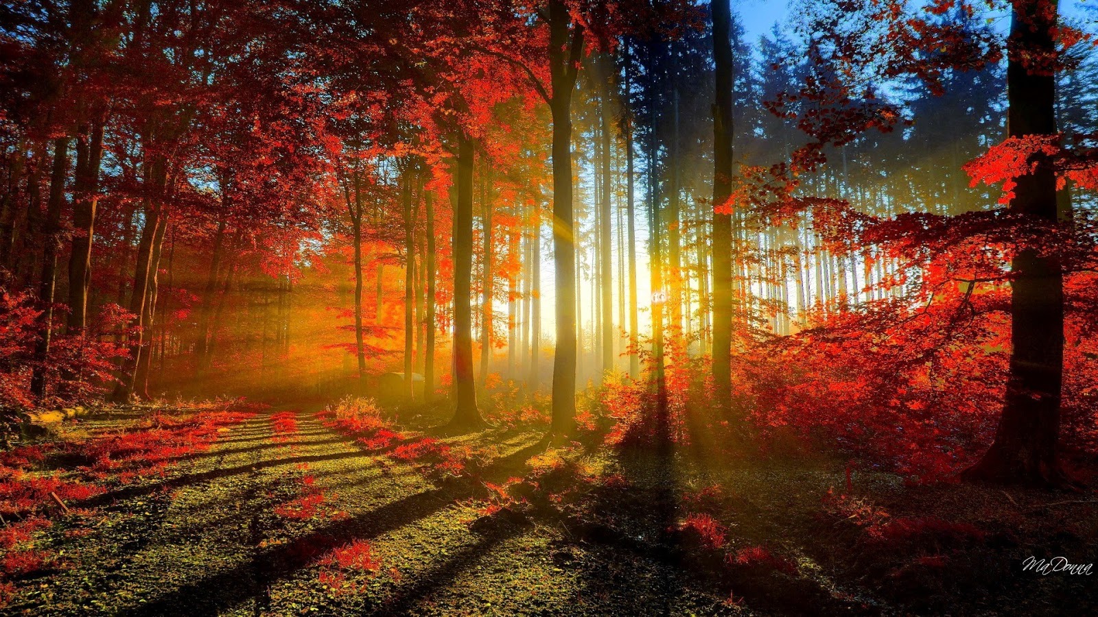 madonna s themes and wallpapers autumn favorite