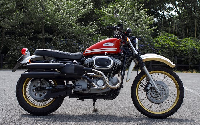sportster 1200 scrambler