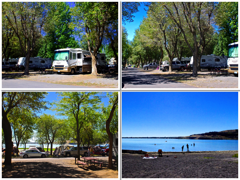 Champagne Wishes and RV Dreams CAMPGROUNDS