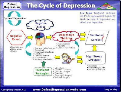 depression cycle diagram defeating serotonin cortisol levels vicious without break anxiety drugs beat depicted following