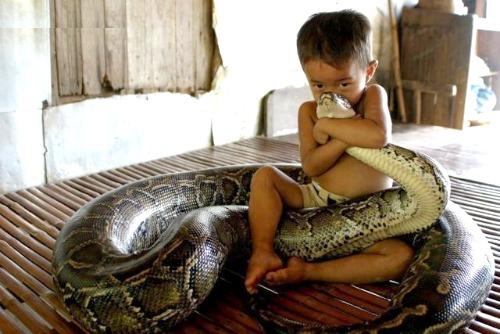 Worldwide Amazing Entertainment...