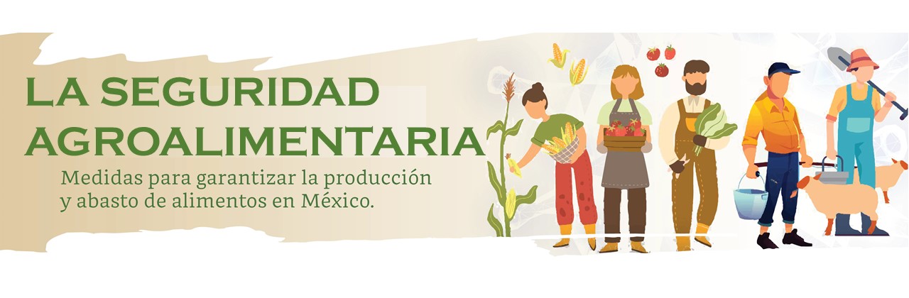 La Seguridad Agro-Alimentaria para México