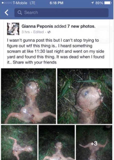 Alien Creature Discovered In California After UFO Sighting Alien Creature Discovered In California After UFO Sighting