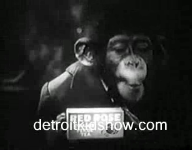 The Lost Valley An History of Saint John, N.B. Those