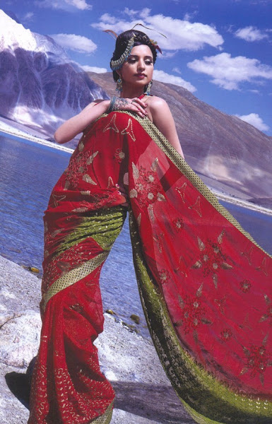 Modern & Beautiful Party Wear Sarees Pics