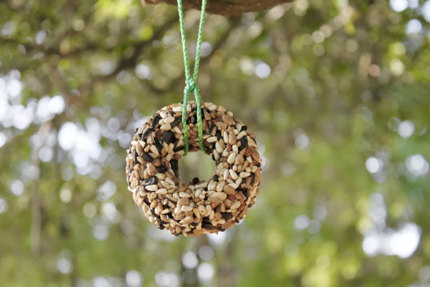 corner blog donut pan idea no. 59 bird seed rings
