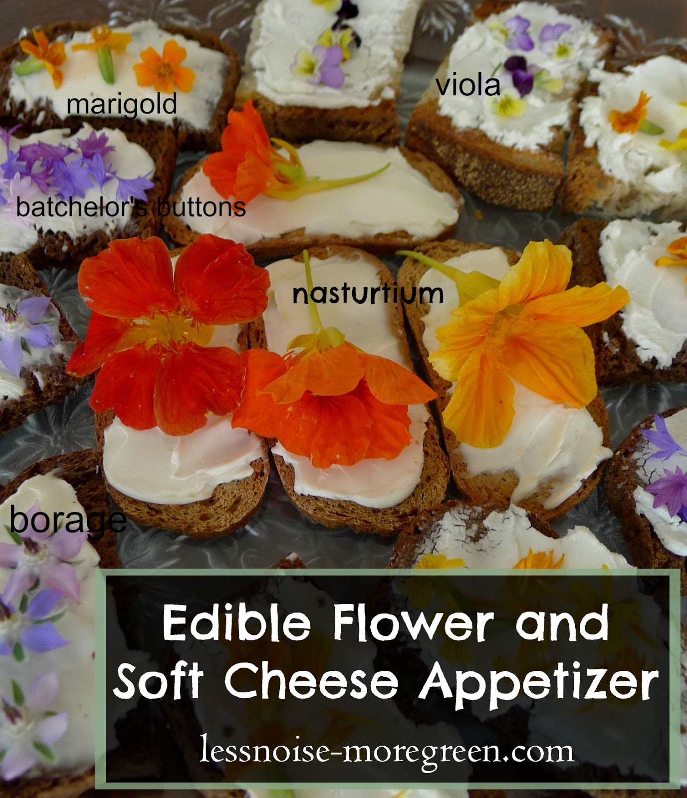 Less Noise, More Green Edible Flower and Soft Cheese Appetizer