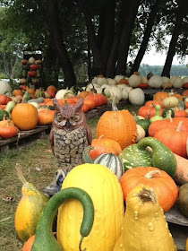 "When your eyes are open to beauty, it can be found in a bunch of  gourds."