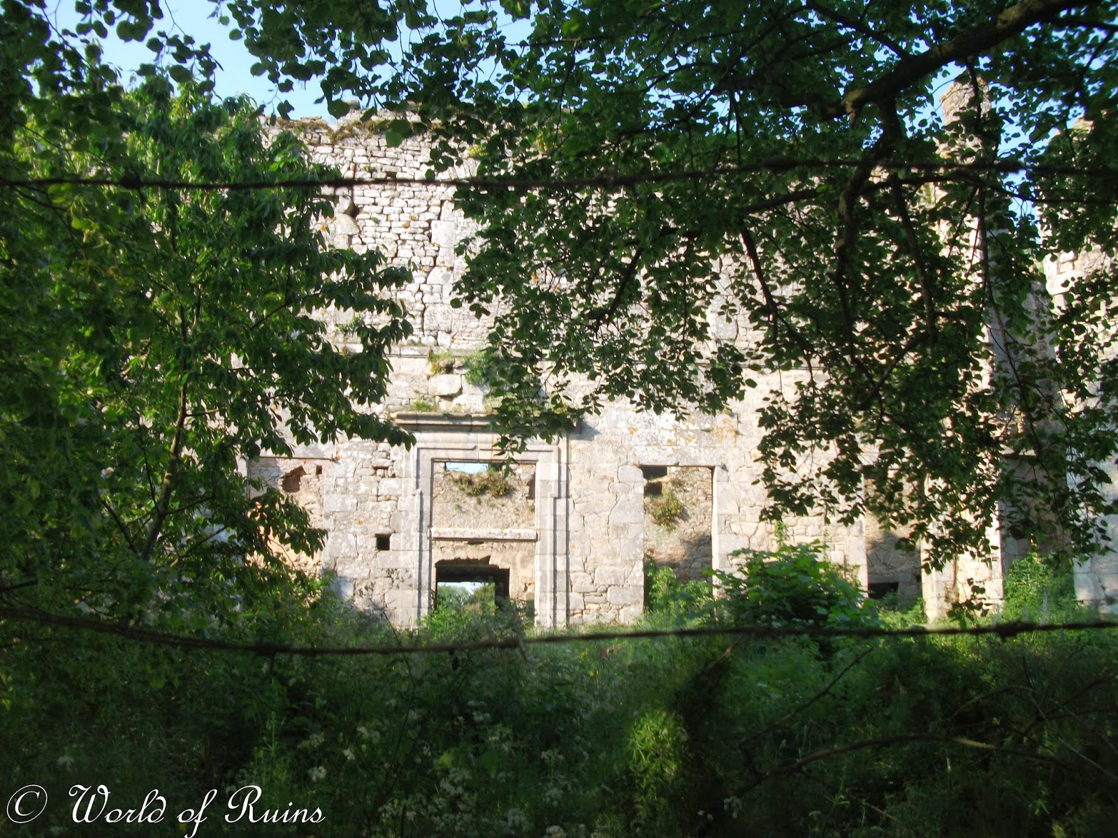 World of Ruins Ruines du Château de Palluau (Palluau, Vendée)