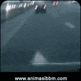 on the way animasi on the way animasi Dp bbm