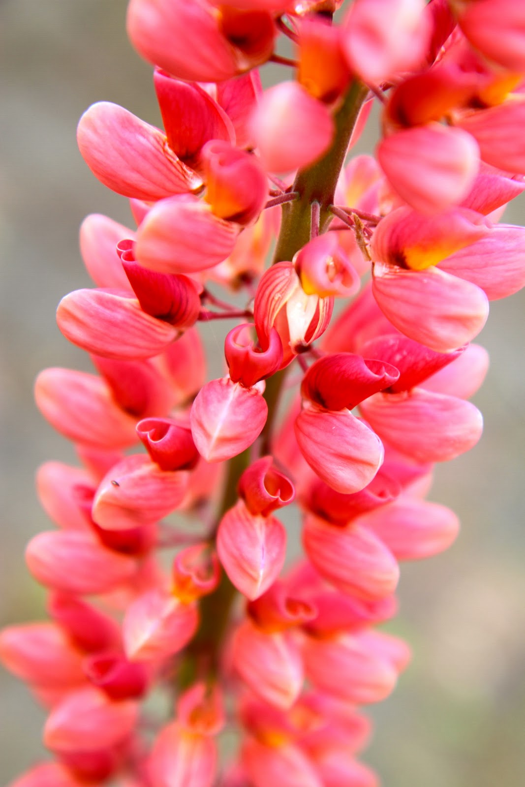 Mathilda's Market Blog January 2012