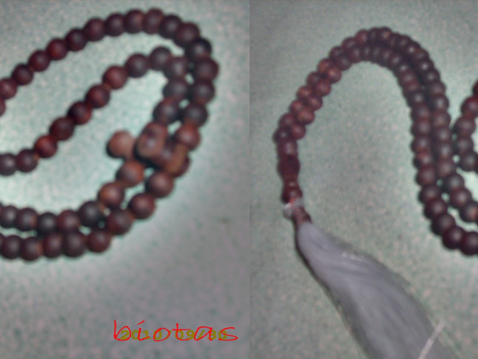 Tasbih Tasbih Stigi Laut tasbih tasbih stigi laut