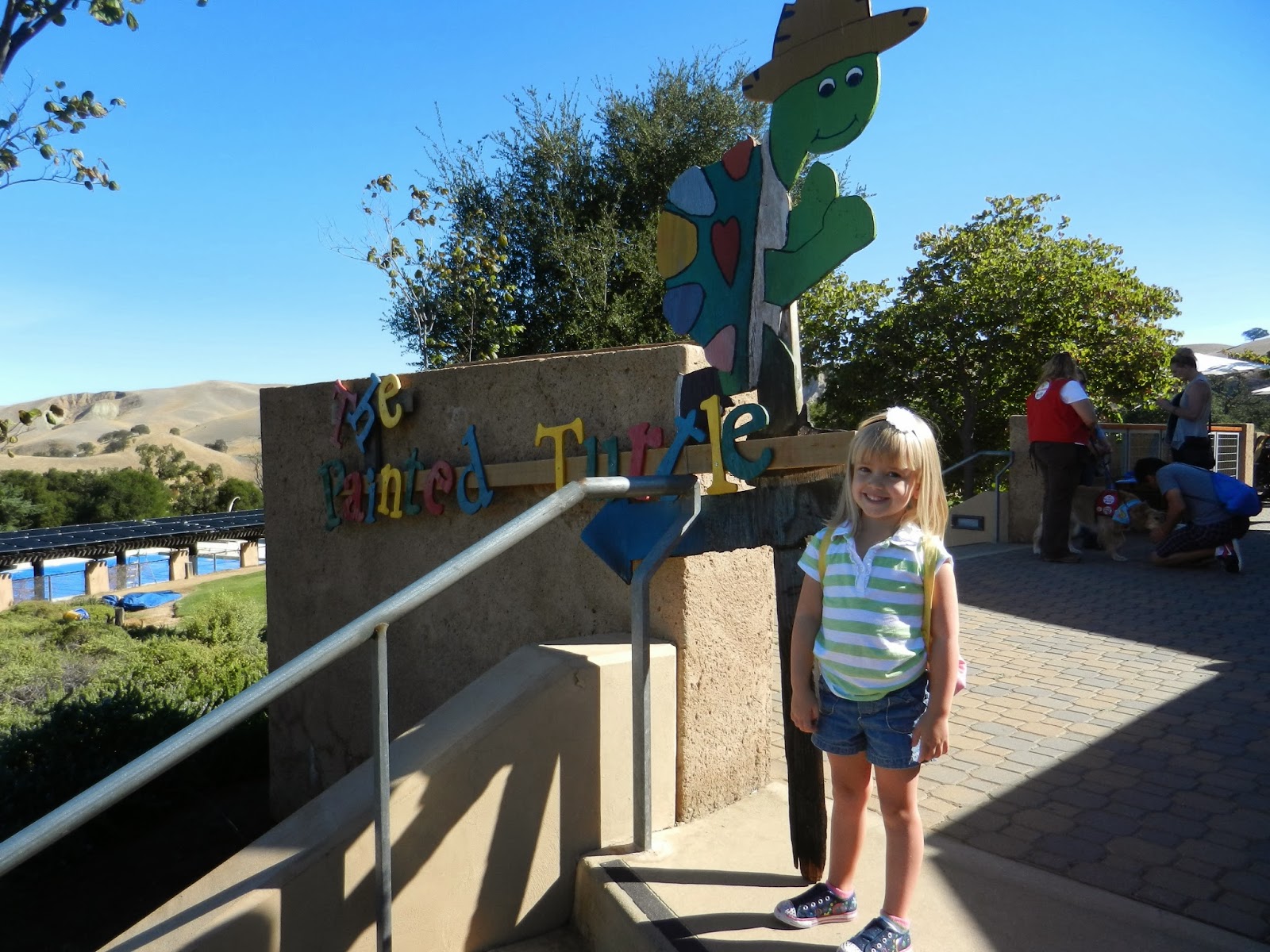 A Look Into Our Lives Painted Turtle Camp on the Move