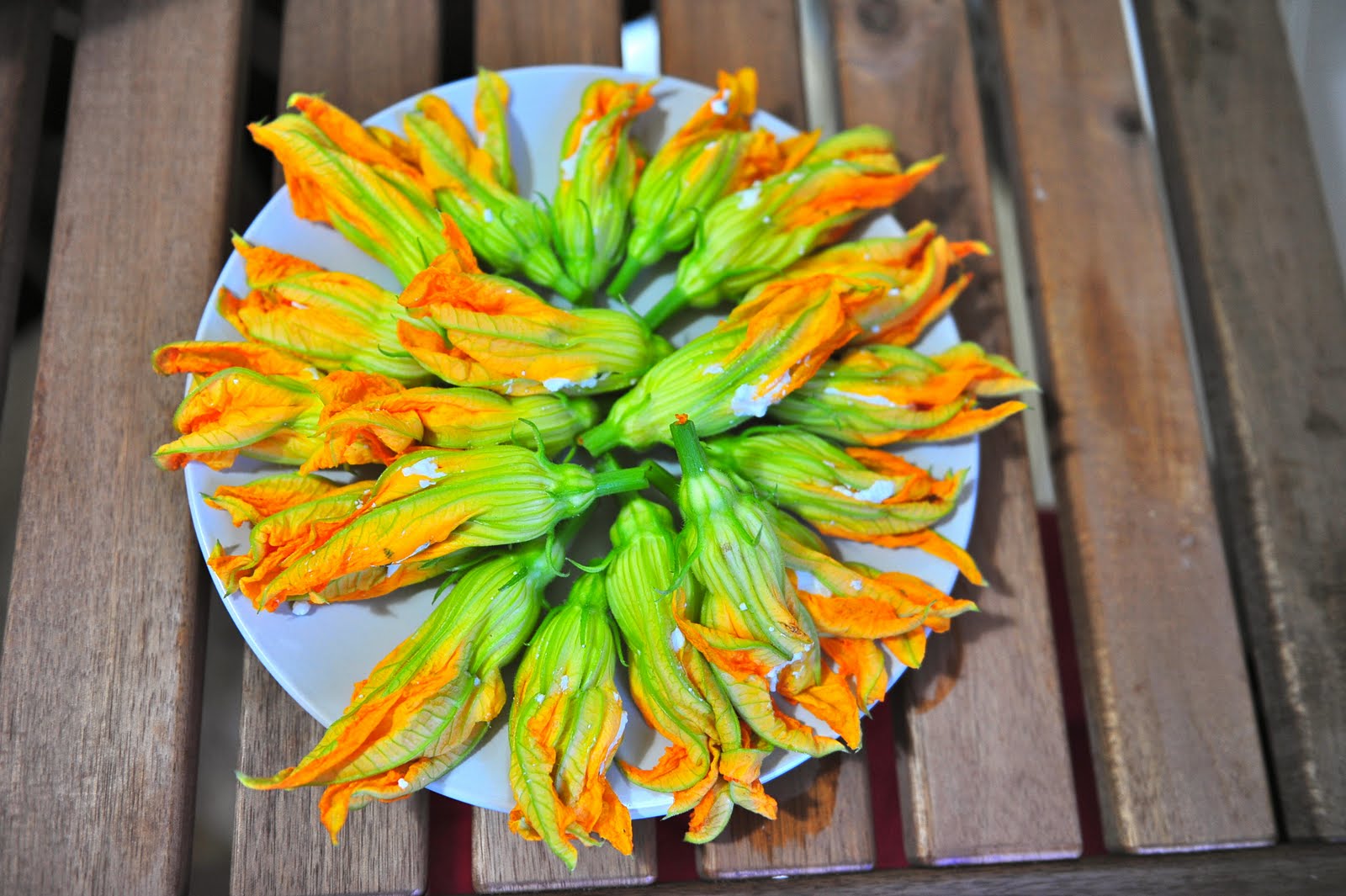 Merlin and Rebecca Gypsy Kitchens Squash Blossom Dessert