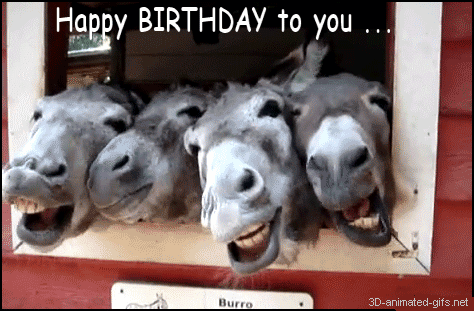 Pipi...pizdo... Funny+happy+Birthday+to+you+photo+pics+ecards+gif+movies+gifs+animation+animated+.gif+format+free+download+donkey+animals+happy+birthday+quotes+funny+for+best+friends+quotes+images+email+1