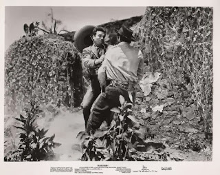 essayez moi film essayez moi film