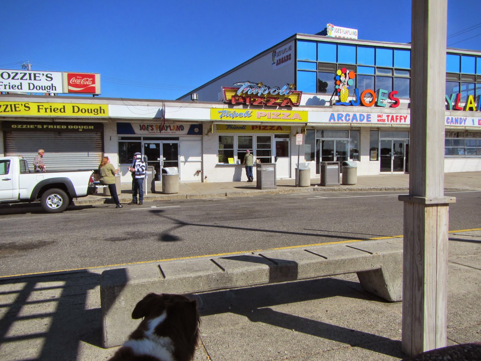 Does Salisbury Beach Allow Dogs