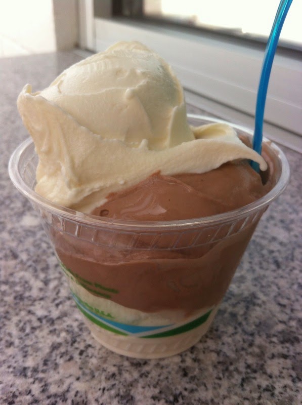 REVIEW Vintage Frozen Custard (Atlanta, GA) ♔ Bella Vivere Live A