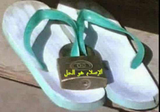 نعجة و إن طارت نعجة و إن طارت