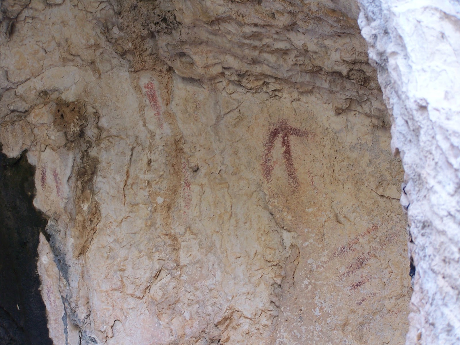 El lobo con botas La Serrezuela de Pegalajar