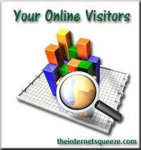 Online Visitor Online Visitor