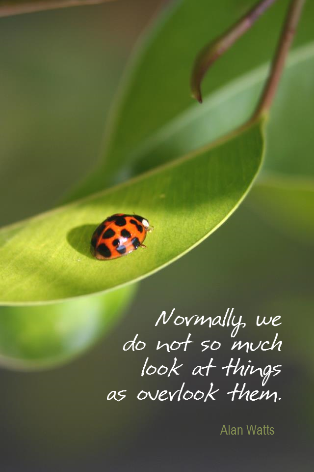 visual quote - image quotation for AWARENESS - Normally, we do not so much look at things as overlook them. - Alan Watts