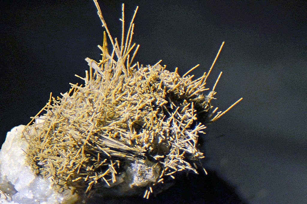 Hornblende Geology Page