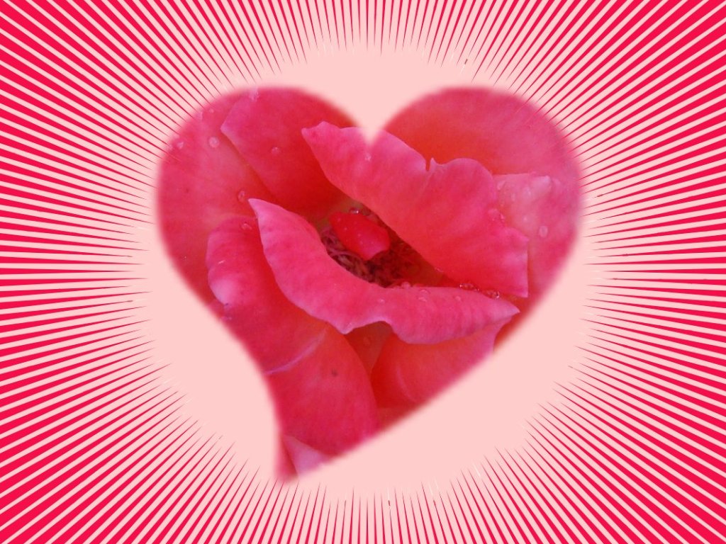 Valentines Day Pictures Valentines Day Pictures