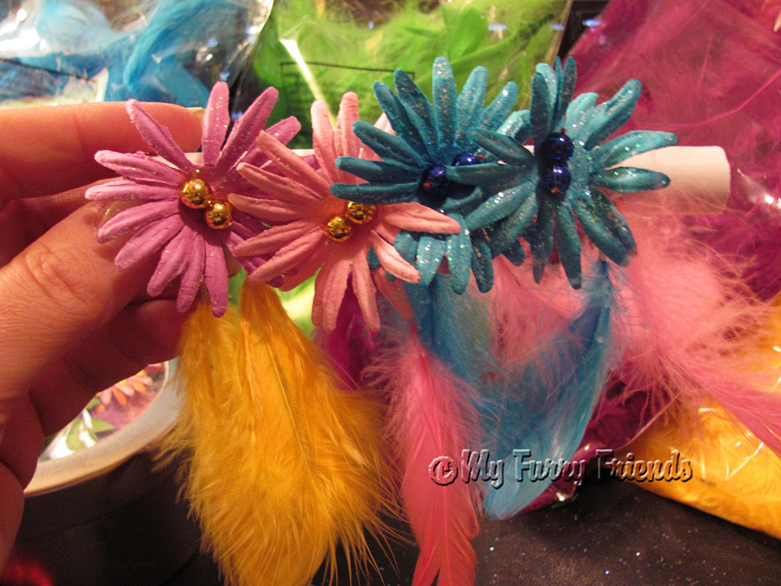 Pet Grooming The Good, The Bad, & The Furry Feathers, Feathers, Feathers