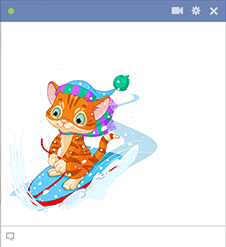 Cat on snowboard