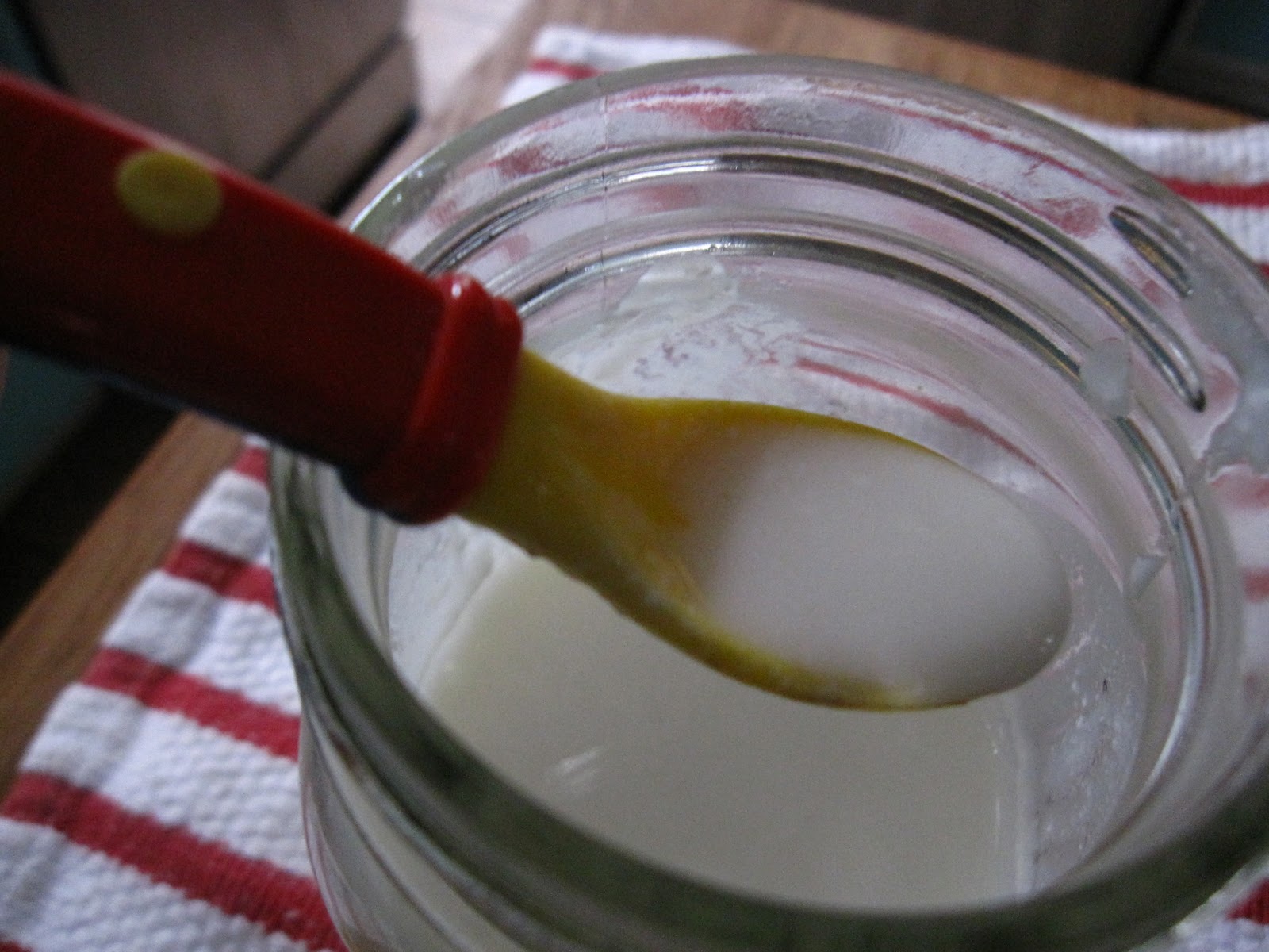 Madame Fromage Heirloom Yogurt Culture Giveaway