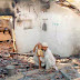 Modi's History: 12th Anniversary of the Gujarat Pogrom