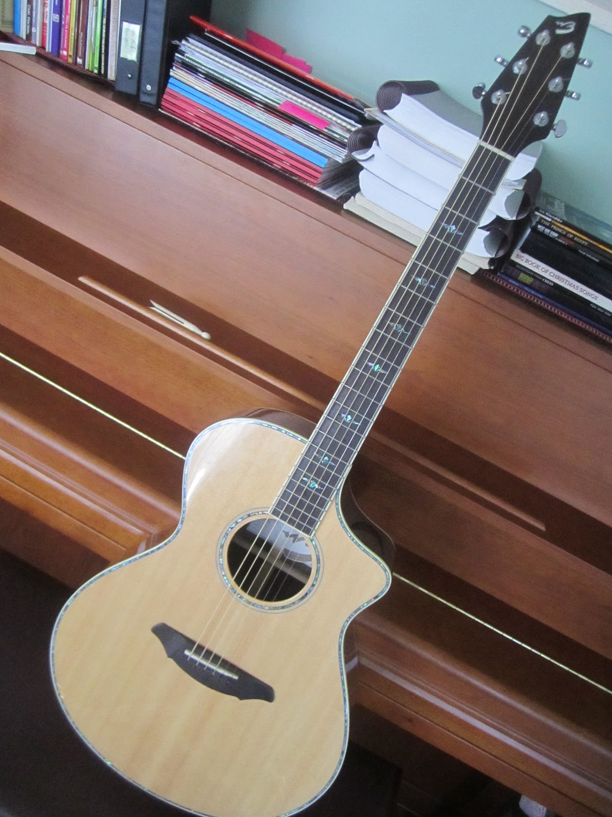 Acoustic Pickers Multiplying Guitars (Breedlove Atlas Stage C25/SR)