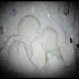 Kate Bush - Nouvel album - 50 Words For Snow - 21/11/2011