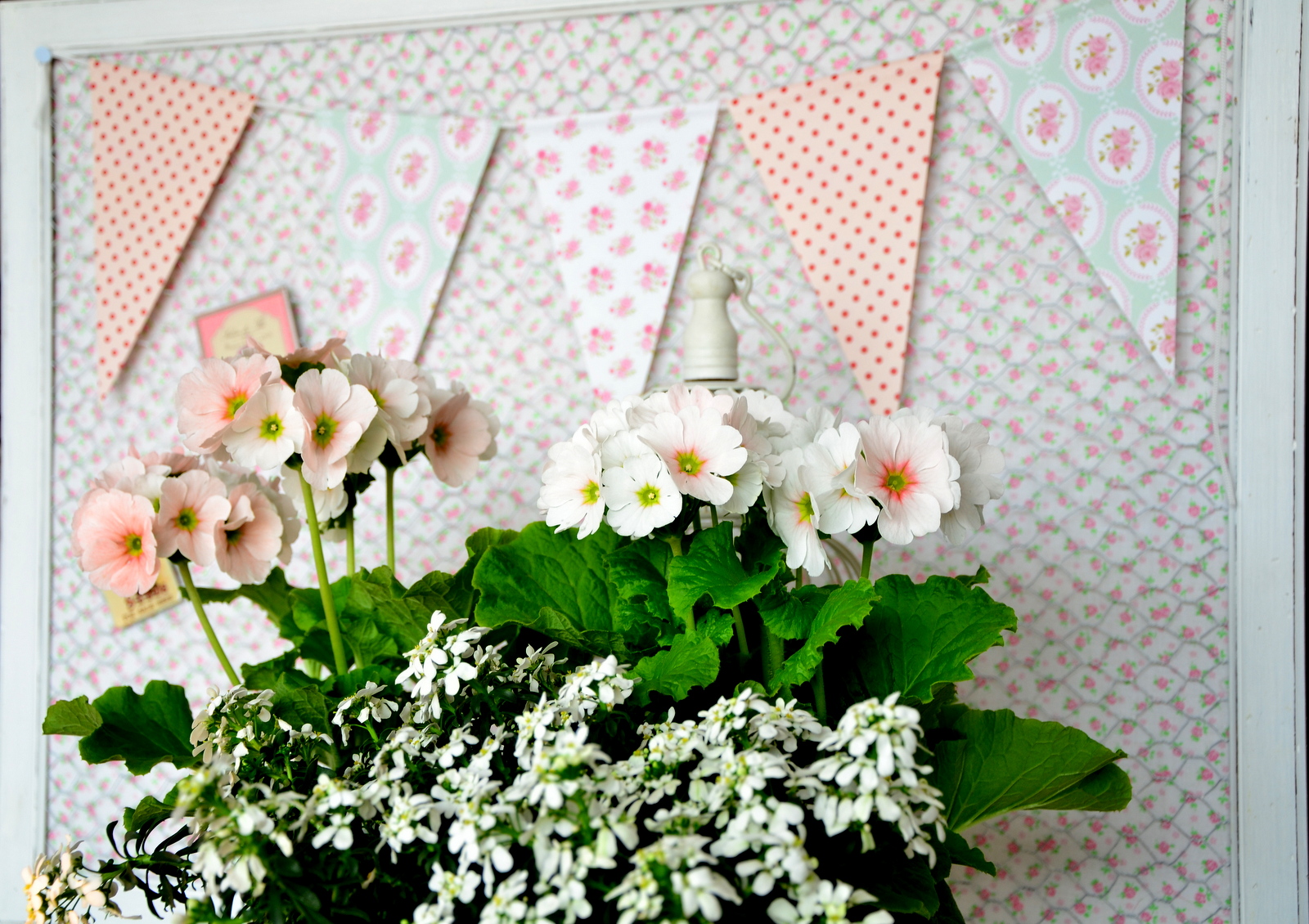 Shabbychiclife: festa di primavera si parte!! fiori